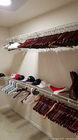 Wide view of closet with top and bottom racks of hangers. Top rack mostly wooden hangers, bottom rack plastic and wire hangers, plus various caps on the top shelf.