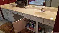 Bathroom double sink vanity and cabinet under-sink area with assorted cleaning supplies and toiletries inside cabinet