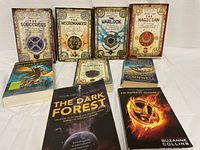 Nine books arranged in two rows, featuring fantasy and science fiction novels. Five books are from Michael Scott's "The Secrets of The Immortal Nicholas Flamel" series with ornate covers. Four other books include titles by Rick Riordan, Bernard Cornwell, Cixin Liu, and Suzanne Collins.