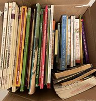 Top view of a box containing multiple children's and dinosaur books arranged vertically and horizontally, showing spines and covers of various titles.