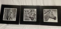 Front view of three framed black and white zebra prints, each approximately 20x20 inches with black mats and glass covers.