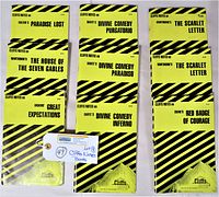 Eight vintage CliffsNotes booklets arranged for clear viewing. Yellow cover with black diagonal stripes. Titles on classic literature including Scarlet Letter, Divine Comedy, Great Expectations, and Paradise Lost.