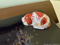 Realistic porcelain puppy figurine with red and white coloring and gold accents, placed on a black box marked Royal Crown Derby.