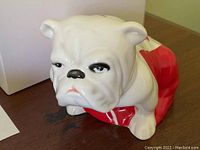 Front view of the white bulldog figurine with red and white Canadian flag design, displayed with the box in background.