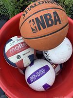 Top-down photo of red bin filled with one Spalding NBA basketball and multiple Molten volleyballs, mostly white with colored accents