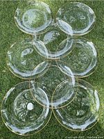 Eight clear glass plates with gold rims arranged on grass, showing size and quantity.