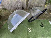 Photo showing both clear bubble umbrellas side by side on grass. One with white handle and trim, the other with black handle and trim.