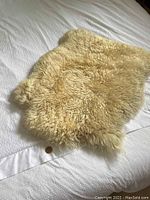 Sheepskin lying flat showing the curly cream wool texture and soft plush look.