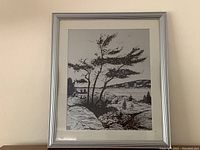 Full view of framed silver foil art picture depicting trees near a riverside with hills in the background.