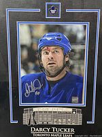 Detailed view of the framed piece showing Toronto Maple Leafs logo and arena graphic.