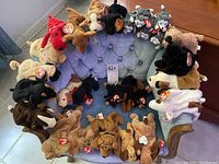 Wide view of 28 dog-themed Beanie Babies and plush toys arranged on a sofa, showing various dog breeds in worn condition with many original tags visible.