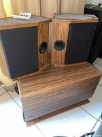 Front and side view of the two DBX bookshelf speakers showing angled design, laminate wood finish, black grilles, and side bass ports