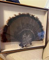 Frontal image of turkey feather art piece in wooden frame with glass, showing full fanned turkey feather arrangement.