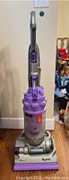 Full front view of the Dyson DC14 Animal vacuum cleaner showing upright handle and canister