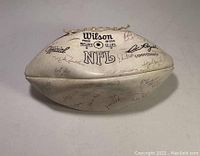 Photo showing one panel of the white Wilson NFL football with many signatures including Don Macek and Ronald Singleton