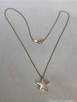 Full view of the necklace showing the chain and star pendant spread out on a plain background.