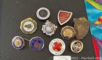 View of all 10 lapel pins arranged on black background showing a variety of military, fraternal, and nursing insignia.