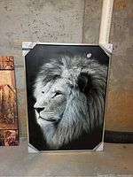 Full view of black and white lion head canvas wall art with protective corner covers in a basement setting; silver wood frame and hand embellishments visible.