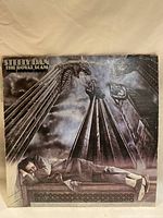 Front cover of Steely Dan The Royal Scam vinyl record showing a man lying on a rooftop with gargoyle statues and cloudy sky