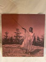 Front cover of the Unknown Mortal Orchestra - II vinyl record album showing person outdoors with stick.