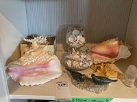 Shelves displaying a collection of large conch seashells, two glass jars filled with smaller seashells, soapstone seal carvings on base, small frosted glass owl statues, and other small shells.