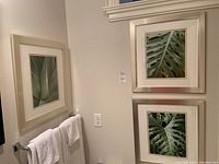 Three framed photo prints of green leaves mounted on a wall, showing arrangement and style