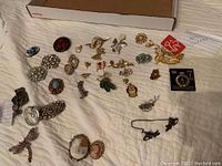 Overview of all brooches and pins spread on white fabric showing variety of costume jewelry pieces including some gold tone, rhinestone, and enamel pieces.