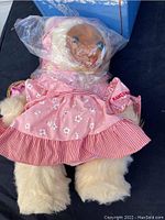 Full view of Raikes Sara Anne Bad plush bear in original packaging, showing the entire bear dressed in pink floral dress with red and white striped hem on skirt.