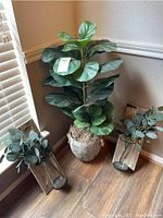 Overall view of the three faux plants with two eucalyptus arrangements in glass vases and a large fiddle leaf fig in a rustic pot