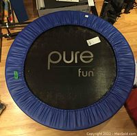 Top down view of the trampoline showing the blue protective padding and the black jumping mat with 'pure fun' logo.