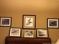 Overview of all six framed bird prints arranged on wall and shelf showing various birds and frame styles