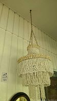 Full view of one seashell chandelier hanging, showing size and overall design.