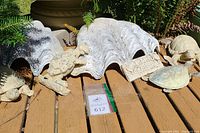 Overview of two large faux clam shell planters behind four turtle figurines and one small plaque on wood deck