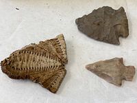 Photo showing two stone arrowheads and a fossilized coral fragment on a light surface.