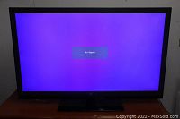 Full front view of the TV powered on showing a purple screen with 'No Signal' message, indicating it powers on and displays.