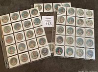 Full view of three binder pages containing 48 baseball coins in protective holders.