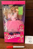 Front view of 1989 Barbie Living Pretty Elegance doll in original box. Doll dressed in pink gown visible through clear window box. Pink and purple box design with Barbie branding.