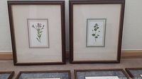 Two botanical floral art prints framed with ivory mats, showcasing delicate flowers and green leaves with wooden frames.