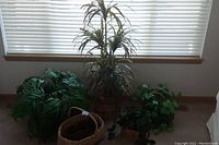 Wide shot showing all four faux plants of various sizes and basket of pine cones on the floor beneath window blinds.