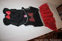Hooded Minnie Mouse dress showing black top with a red bow and red tulle skirt with silver spots.