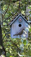 Front view of blue painted wooden birdhouse with corrugated brown metal roof, metal bird below entry hole, and metal gear decoration above opening surrounded by foliage.