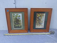 Two framed bird prints side by side with a measuring tape showing approximate overall width.