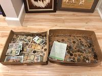Overview photo showing two cardboard trays containing assorted foreign coins and paper currency notes spread out.