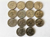 Photo showing all fourteen Susan B Anthony dollar coins arranged in rows on a white background.