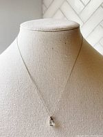 Full view of necklace on display showing delicate chain and small pendant.