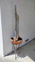 Full view of potted cactus plant with tall stems on metal stand, against outdoor wall.