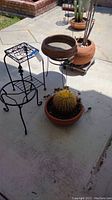 Photo showing two cacti in terracotta pots and three black metal plant stands on a concrete patio.