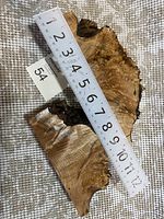 Two pieces of live edge burl wood with Danish oil finish displayed with measuring tape to show size. The larger slice measures about 10 inches long and 4 inches wide, the smaller about 7 inches long and 3 inches wide. The wood shows natural grain patterns and rough edges.