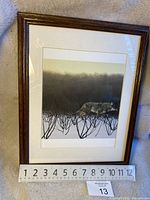 Front view of vintage framed wolf print showing the wolf image and wooden frame with a measuring tape for scale. Frame width about 12 inches.