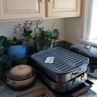 Two metal roasting pans and speckled Dutch oven shown with potted plants on kitchen counter
